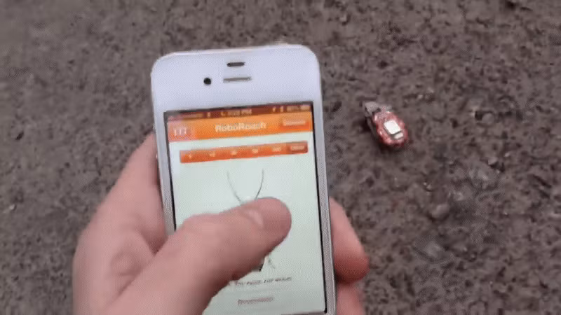 Dù chưa tìm được người sống sót trong lần triển khai đầu tiên, các con gián cyborg vẫn cung cấp hình ảnh và dữ liệu quý giá để hỗ trợ lực lượng cứu hộ đánh giá cấu trúc bên dưới đống đổ nát. (Ảnh: Thanh niên Việt)