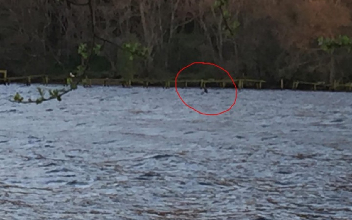 Hàng nghìn báo cáo và hình ảnh về Nessie xuất hiện, nhưng chưa có bằng chứng thuyết phục. (Ảnh: Visit Scotland)