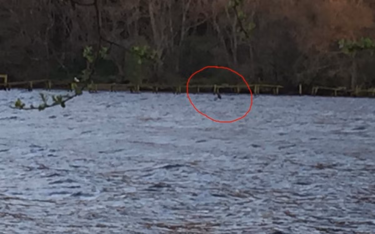 Hàng nghìn báo cáo và hình ảnh về Nessie xuất hiện, nhưng chưa có bằng chứng thuyết phục. (Ảnh: Visit Scotland)