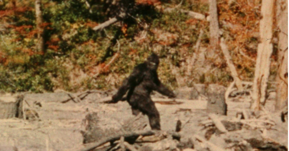 Câu chuyện về Bigfoot vẫn nằm giữa ranh giới "nửa thực, nửa hư".(Ảnh: KLCC)