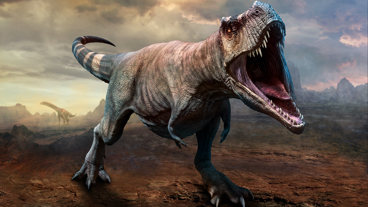 Một số loài khủng long ăn thịt như Allosaurus hay Tyrannosaurus là cực kỳ nguy hiểm, trong khi những loài nhỏ hơn có thể là nguồn thức ăn hoặc được thuần hóa. (Ảnh: Live Science)