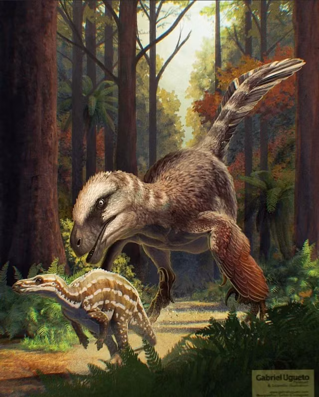 Utahraptor sở hữu móng vuốt dài 35 cm trên chân và móng vuốt tay sắc bén, khiến nó trở thành một kẻ săn mồi nguy hiểm. (Ảnh:Reddit)