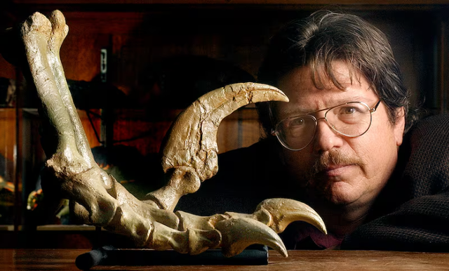 Theo các nhà nghiên cứu, đây là những xương của đàn Utahraptor - loài săn mồi hung dữ từ kỷ Phấn trắng. Khối đá được hình thành từ một vũng cát lún, nơi khủng long ăn cỏ mắc kẹt và thu hút đàn Utahraptor. Tuy nhiên, những "quái thú" này cũng bị sa lầy, chôn vùi và hóa thạch trong lớp cát lún đã cứng lại thành sa thạch suốt 136 triệu năm.(Ảnh: Deseret News)