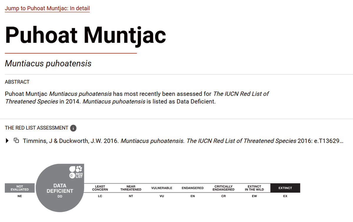 Hiện tại, trong sách đỏ, mang Pù Hoạt được liệt vào danh sách những loài đang bị đe dọa và thiếu các dữ liệu mô tả. (Ảnh: IUCN)