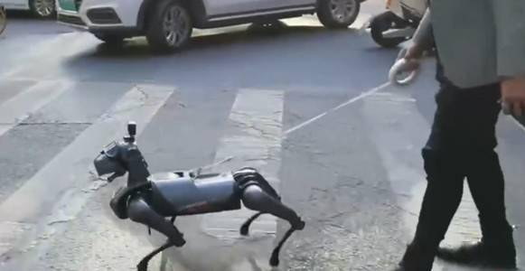 Những con robot này không còn là điều mới lạ mà đã trở thành một phần quen thuộc trong đời sống hằng ngày của người dân.(Ảnh:Sohu)