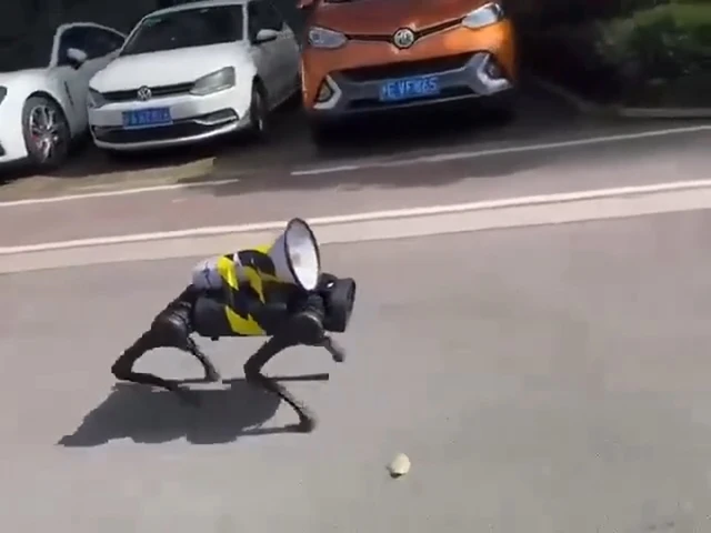 Một đoạn clip dài 12 giây quay tại Thượng Hải đã gây xôn xao vì cho thấy robot xuất hiện dày đặc trên đường phố. (Ảnh:Sohu)