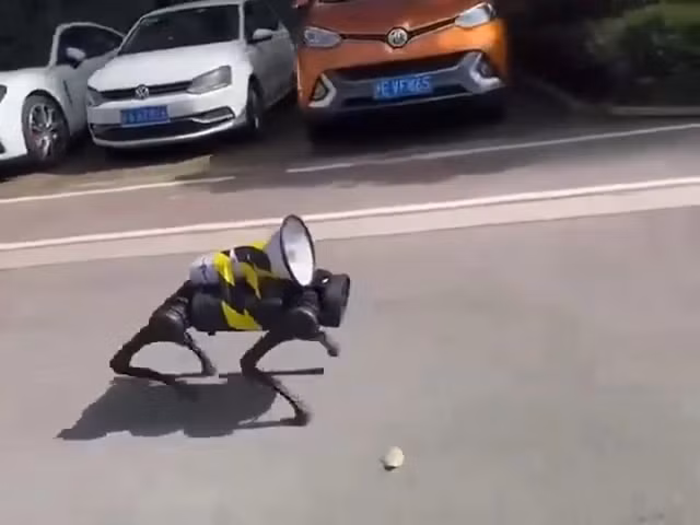 Một đoạn clip dài 12 giây quay tại Thượng Hải đã gây xôn xao vì cho thấy robot xuất hiện dày đặc trên đường phố. (Ảnh:Sohu)