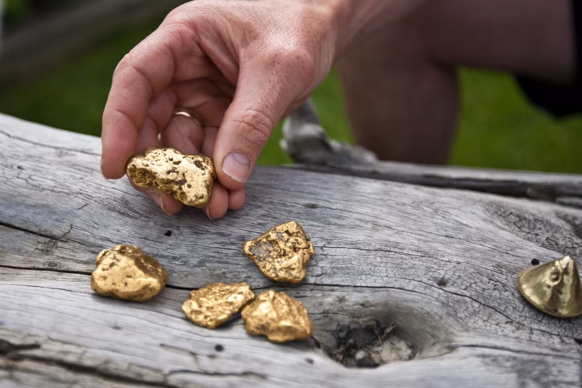 Đáy sông chứa đầy vàng lấp lánh, và chỉ cần múc vài gáo nước, người ta có thể tìm thấy những hạt vàng quý giá. (Ảnh: Travel Yukon)
