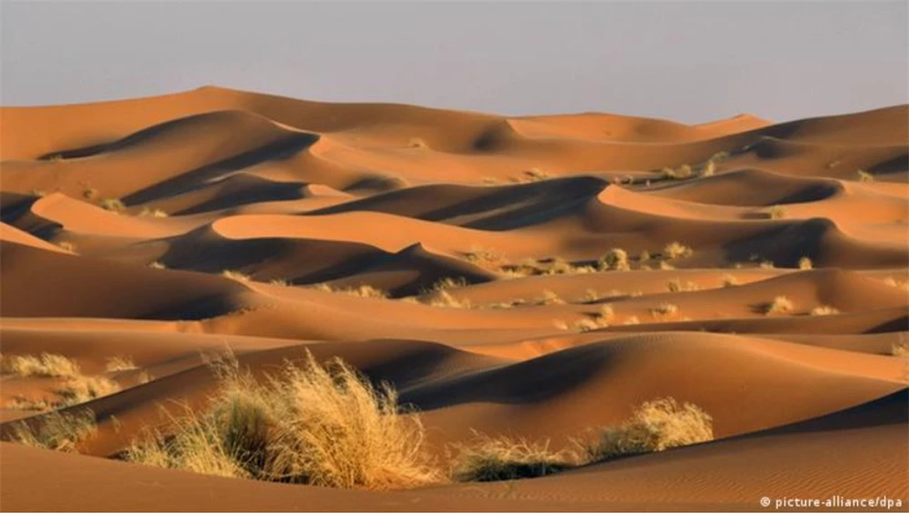 Sa mạc Sahara không chỉ là đại dương cát rộng nhất thế giới mà còn ẩn giấu một "kho báu" địa chất và lịch sử bên dưới. (Ảnh: Baidu)