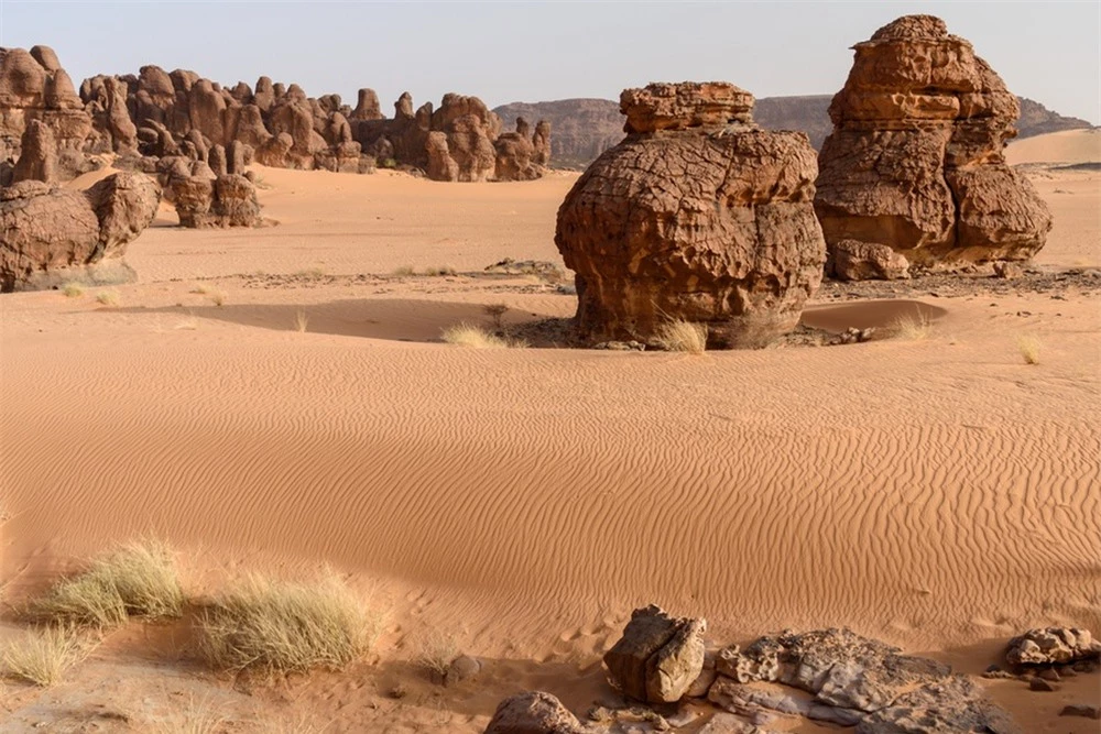 Những tàn tích này cho thấy Sahara từng là rừng ngập mặn, biển nông và ốc đảo xanh tươi vào hàng chục triệu năm trước. (Ảnh: Baidu)
