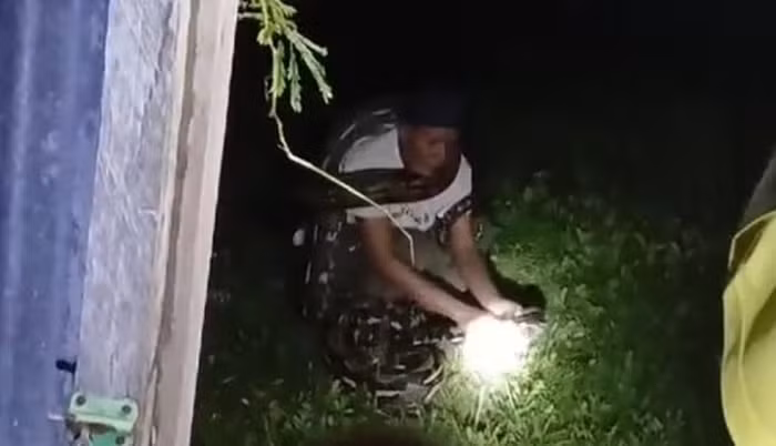 Con " quái thú" quấn quanh cổ nạn nhân và siết chặt, dẫn đến ngạt thở. Đoạn clip ghi lại sự việc gây tranh cãi trên mạng xã hội, với nhiều người chỉ trích những người quay phim mà không hỗ trợ nạn nhân. Một số ý kiến cho rằng kích thước lớn của con trăn khiến việc giải cứu trở nên khó khăn. (Ảnh: Người đưa tin)