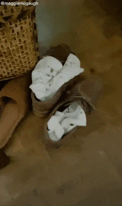 Maggie phát hiện trong nhà có nhiều đồ cổ giá trị như bộ bàn ăn 10.000 USD, hai chiếc sofa 15.000 USD, và giường gỗ sồi hơn 15.000 USD. (Ảnh TikTok @maggiemcoaugh)