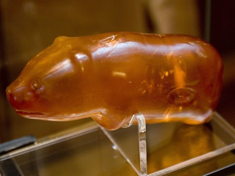 Người ta tin rằng đây là một lá bùa hộ mệnh của thợ săn thời xưa, vì gấu là loài vật mạnh mẽ và đáng sợ nhất vùng thời đó.(Ảnh: gp24.pl)