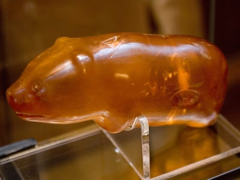 Người ta tin rằng đây là một lá bùa hộ mệnh của thợ săn thời xưa, vì gấu là loài vật mạnh mẽ và đáng sợ nhất vùng thời đó.(Ảnh: gp24.pl)