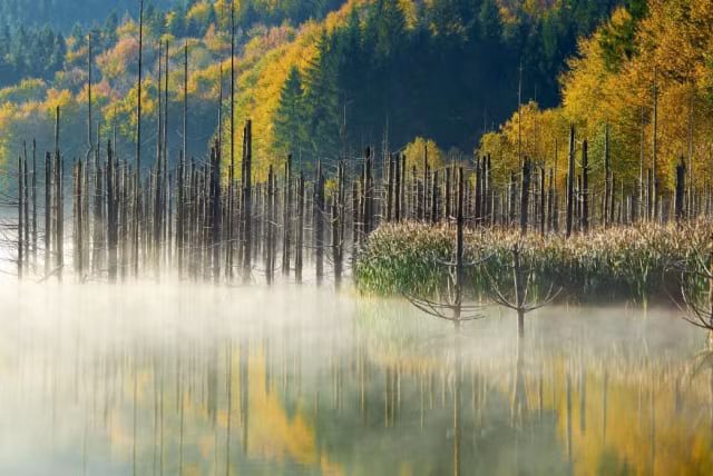 Công nghệ LiDAR không chỉ tái hiện chính xác địa hình 3D mà còn xuyên qua lớp thảm thực vật dày đặc để hé lộ các chi tiết ẩn giấu. Cấu trúc được xây dựng trên các điểm cao chiến lược, với hào và gò đất bao quanh, minh chứng cho trình độ kỹ thuật phòng thủ vượt trội của người xưa. (Ảnh: The Jerusalem Post)