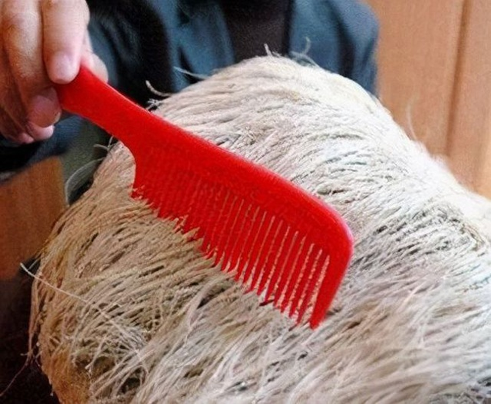 Sau đó, ông phát hiện ra những sợi lông trắng trên đầu viên đá dường như mọc dài ra. Sau vài ngày tóc trắng phủ kín phía trên viên đá khiến ông kinh hãi.