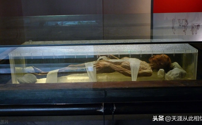 Hiện tượng "xác ướp biết thở" tuy gây hoang mang nhưng hoàn toàn có thể giải thích bằng cơ chế vật lý và hóa học.