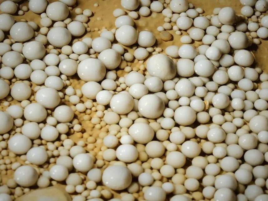 Đặc biệt, đoàn khảo sát còn phát hiện hàng loạt ngọc hang động quý hiếm với độ tinh khiết cao, trắng mịn như ngọc bích. (Ảnh: jfdaily)