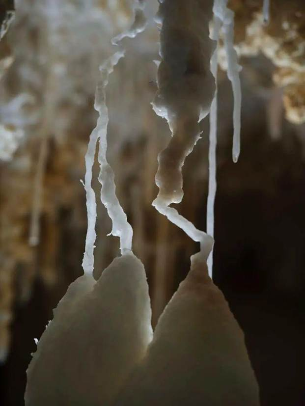 Bên trong hang động là cả một thế giới khoáng vật rực rỡ. Những mái vòm cao hơn 100 mét nhỏ từng giọt nước tạo nên khí dung giàu canxi bicacbonat, góp phần hình thành nên các thạch nhũ, măng đá, hoa đá, san hô đá và vô số cấu trúc lắng đọng độc đáo. (Ảnh: jfdaily)