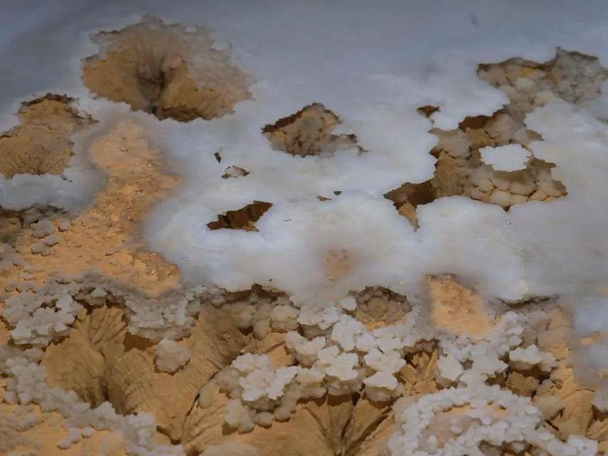 Hang động nằm sâu trong dãy núi đá vôi gần Khu bảo tồn thiên nhiên Đại Sa Hà, một khu vực hầu như chưa có dấu chân người. Chính vì thế, nó được đánh giá như một “kho báu địa chất” hiếm có, chứa đựng trầm tích nguyên sơ và những cấu trúc khoáng chất kỳ lạ chưa từng thấy. (Ảnh: jfdaily)