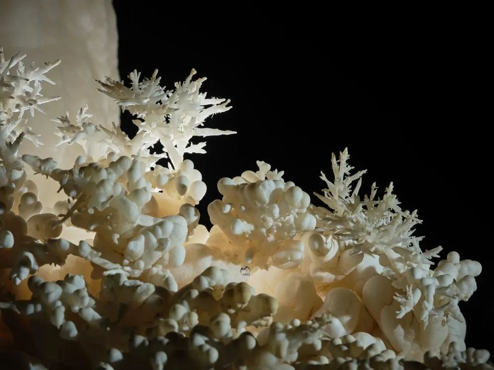 Cảnh quan nơi đây được ví như một “khu rừng pha lê” ẩn mình trong lòng đất. (Ảnh: jfdaily)