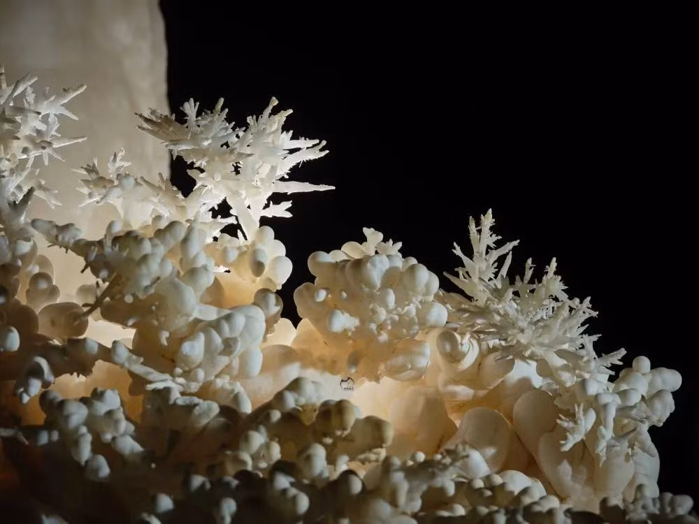 Cảnh quan nơi đây được ví như một “khu rừng pha lê” ẩn mình trong lòng đất. (Ảnh: jfdaily)