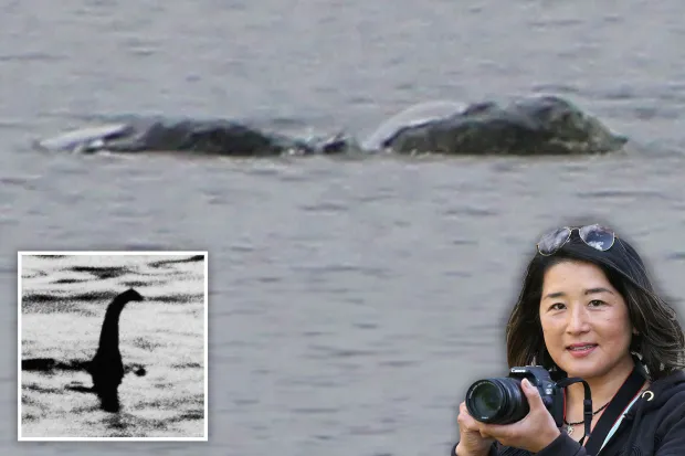 Kelly loại trừ khả năng sinh vật là rái cá hoặc hải cẩu, nhận định rằng chuyển động của nó rất kỳ lạ và không để lại dấu hiệu quen thuộc nào. Cô chia sẻ những bức ảnh gần đây, khẳng định sự tồn tại của một sinh vật sống chưa xác định tại hồ. (Ảnh: The Irish Sun)