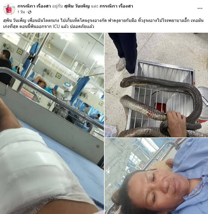 Mặc dù bị thương nghiêm trọng ở chân trái, cô đã dũng cảm tay không giết chết con " quái thú" dài gần 4 mét và mang xác của nó đến bệnh viện để hỗ trợ việc điều trị. May mắn, Supin đã qua cơn nguy kịch và đang hồi phục. Vụ việc cũng là lời nhắc nhở về sự nguy hiểm tiềm ẩn trong thiên nhiên hoang dã và tầm quan trọng của việc chuẩn bị kỹ khi bước vào những vùng nguy cơ cao. (Ảnh: Saostar)