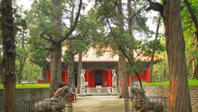 Tất cả các yếu tố trên được phát hiện và xác nhận qua các ghi chép như “Khổng Tử truyện – Cổ thụ danh mộc trong Khổng Lâm Sơn Đông” và nghiên cứu của các chuyên gia Trung Quốc hiện đại. (Ảnh: Sina)