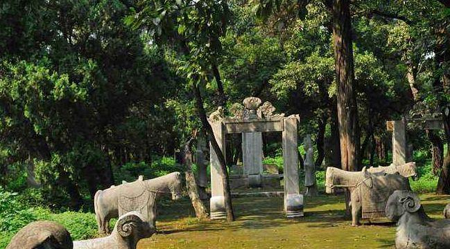 Về mặt địa lý, Khổng Lâm tọa lạc trên thung lũng sông Tứ Thủy, bên dưới có mạch nước ngầm chảy liên tục, phát ra tần số âm thanh và rung động nhỏ – điều này gây khó chịu với chim và bò sát, khiến chúng không sinh sống trong khu vực. (Ảnh: Sina)