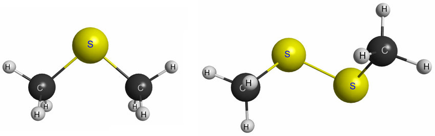 Mặc dù nghiên cứu này đạt độ tin cậy cao (three-sigma), vẫn chưa thể khẳng định chắc chắn rằng DMS và DMDS là bằng chứng trực tiếp của sự sống. (Ảnh: J. S. dos Santos/Fábris Kossoski/Márcio T. do N. Varella)