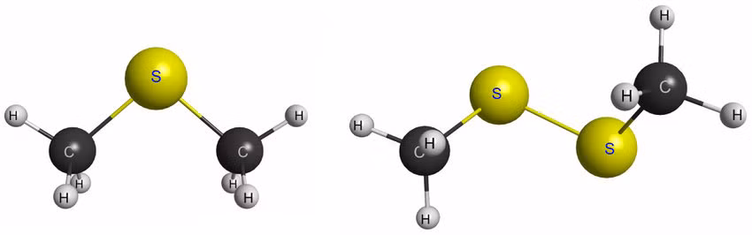 Mặc dù nghiên cứu này đạt độ tin cậy cao (three-sigma), vẫn chưa thể khẳng định chắc chắn rằng DMS và DMDS là bằng chứng trực tiếp của sự sống. (Ảnh: J. S. dos Santos/Fábris Kossoski/Márcio T. do N. Varella)