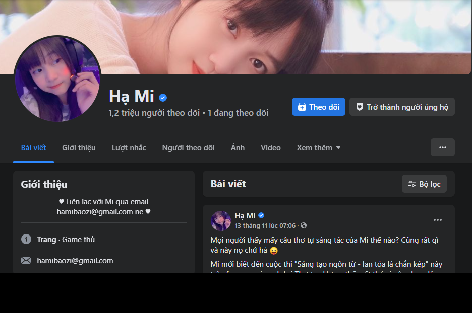 Sau khoảng thời gian theo đuổi nghề streamer, đến nay Hạ Mi đã sở hữu lượng fan 'khủng' với hơn 1,2 triệu người theo dõi trên Fanpage.