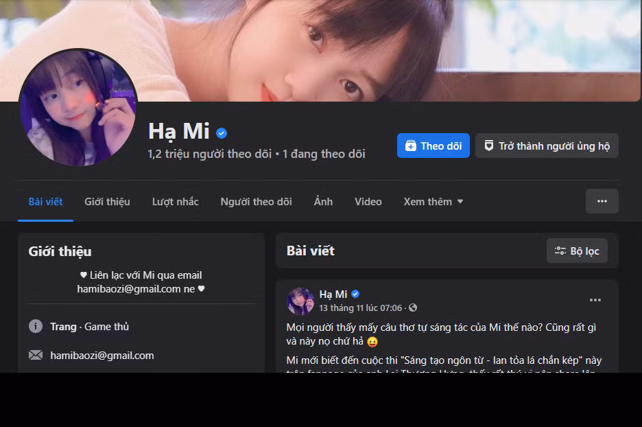 Sau khoảng thời gian theo đuổi nghề streamer, đến nay Hạ Mi đã sở hữu lượng fan 'khủng' với hơn 1,2 triệu người theo dõi trên Fanpage.