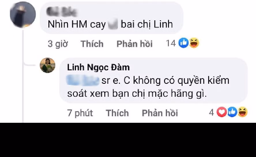 Sau đó, Linh Ngọc Đàm cũng đã đưa ra lời giải thích.