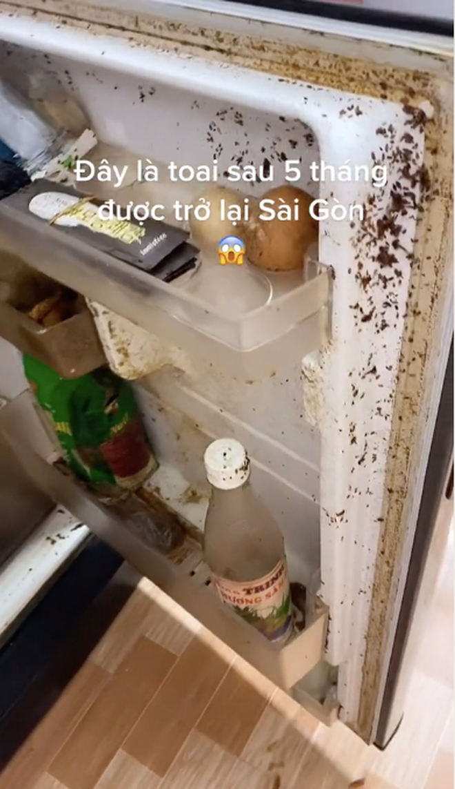 Trước đó, một cô gái khoe cái tủ lạnh nhà mình sau gần 5 tháng rời xa Sài Gòn và không đụng đến. Khi mở cánh cửa tủ ra, đập vào mắt gia chủ là cảnh từ cánh cửa tủ đến không gian bên trong bám đầy những chất bẩn đen thui.