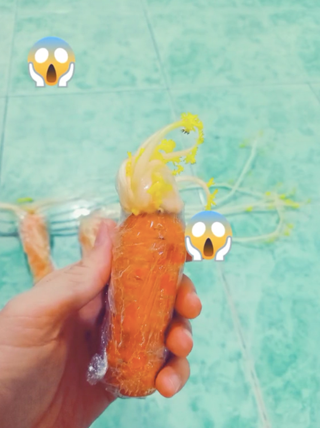 Tủ lạnh trông vẫn sạch sẽ. Tuy nhiên các loại rau củ trong tủ đã nảy mầm hết.