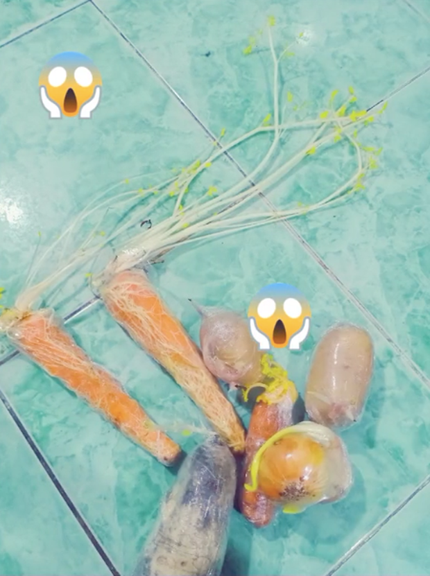 Bình luận dưới bài đăng về chiếc tủ lạnh sau những ngày giãn cách xã hội của cô gái, nhiều netizen để lại ý kiến: “Tủ lạnh cũng không quá nhiều đồ dễ hư hỏng, quá may rồi”, "Cùng cảnh ngộ bạn ơi! nhưng mình đen hơn thức ăn mốc meo hết cả vì chủ nhà dập cầu giao điện"...