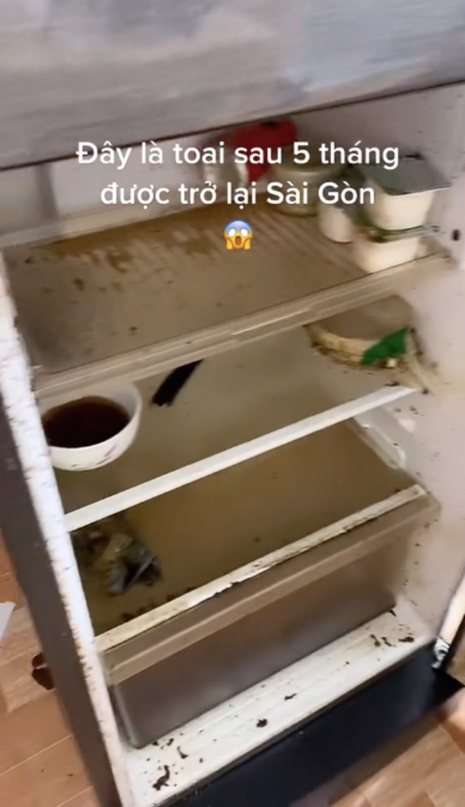 Đoạn clip ghi lại hình ảnh chiếc tủ lạnh của 1 cô gái về quê nghỉ dịch quá lâu và không may ổ điện bị hỏng, lúc quay lại thành phố thì thấy mọi thứ bên trong đã trở thành một mớ hỗn độn, và đặc biệt còn toả ra mùi hương rất khó ngửi.