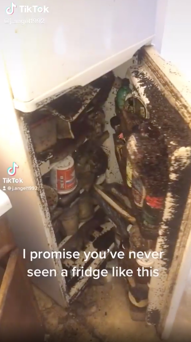 Kinh khủng nhất có lẽ là màn khoe tủ lạnh đến từ một tài khoản TikTok nước ngoài. Sau khi mở cửa ra, cả MXH được phen... hoảng hồn khi chứng kiến những gì có bên trong tủ.