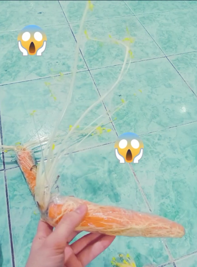 May là trong tủ lạnh các loại thực phẩm gần như chưa bị hỏng nặng hay sinh khí, biến chất. Kể cả trứng cút lộn cô nàng mua cũng không nở hay thối.