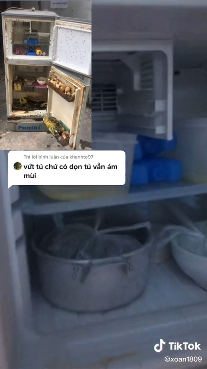 Tuy nhiên, đáp lại lời khuyên ném cả cái tủ đi, cô gái này đã quyết định dọn chiếc tủ lạnh này để dùng tiếp. Nguyên nhân là bởi, do điều kiện chưa đủ để mua một chiếc tủ mới. Và quả thật, sau khi cố gắng lau dọn thì chiếc tủ cũng đã sáng sủa hơn rồi, cắm điện vào vẫn chạy được bình thường.