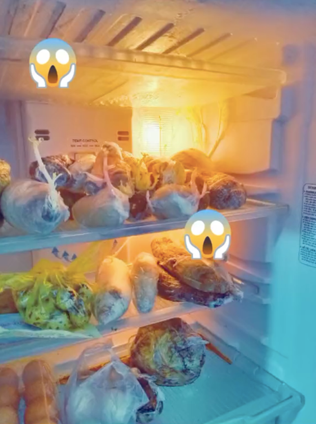 Cụ thể, cô gái này kể như nhiều người khác mình cũng về quê tránh dịch được 3 tháng và cũng quên không lấy đồ trong tủ lạnh nên còn khá nhiều loại thực phẩm. Khi lên lại được nhà trọ sau giãn cách xã hội thì hỡi ơi! tức tốc kiểm tra và đây là cái kết.