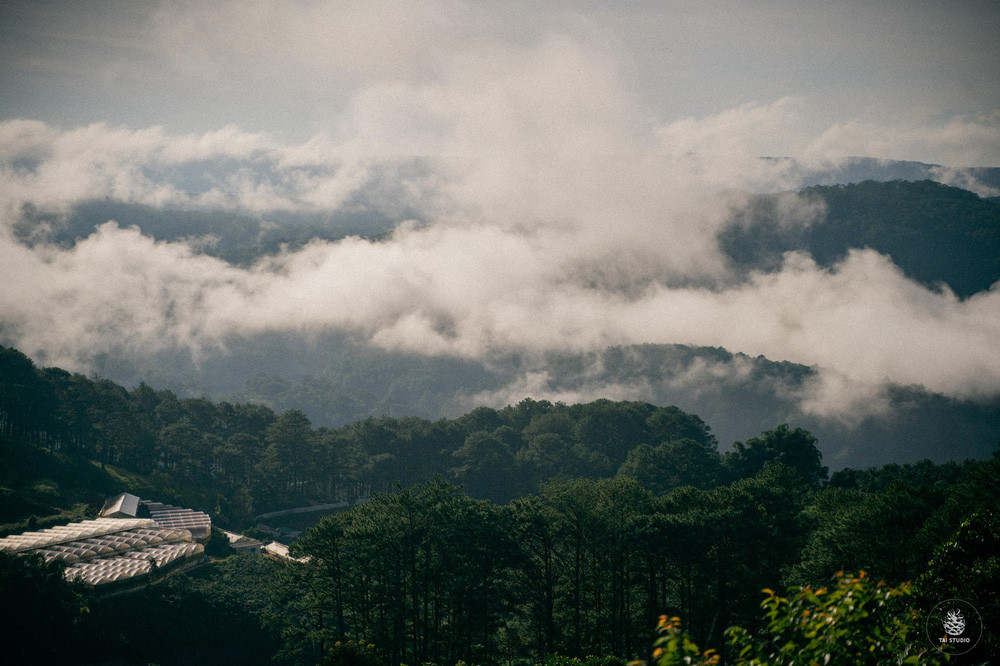Diện tích của không gian sống tính cả căn nhà và khu vườn xung quanh trong homestay của anh Tài lên đến con số 3000m2. Vườn hồng xung quanh căn nhà cũ được cải tạo thành nhà ở và làm một studio nho nhỏ để thỏa mãn đam mê chụp ảnh của anh.