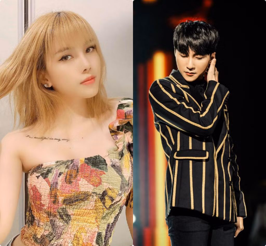 Sơn Tùng M-TP và ca sĩ Thiều Bảo Trâm chia tay sau khoảng thời gian 8 năm yêu không công khai. Nguyên nhân dẫn đến chuyện cặp đôi tan vỡ bị nhiều người đồn đoán là do "trà xanh" (người thứ 3) xen vào tình cảm của cả hai.