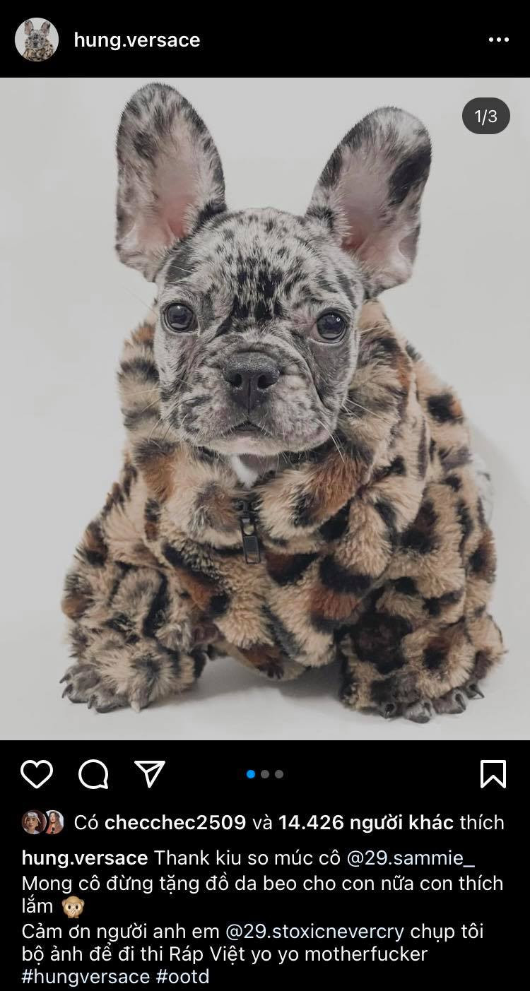 Chú chó cưng của cô cũng sở hữu 1 bộ lông hoa tiết da beo. Mai Âm Nhạc còn lập hẳn cho thú cưng của mình 1 Instagram riêng.