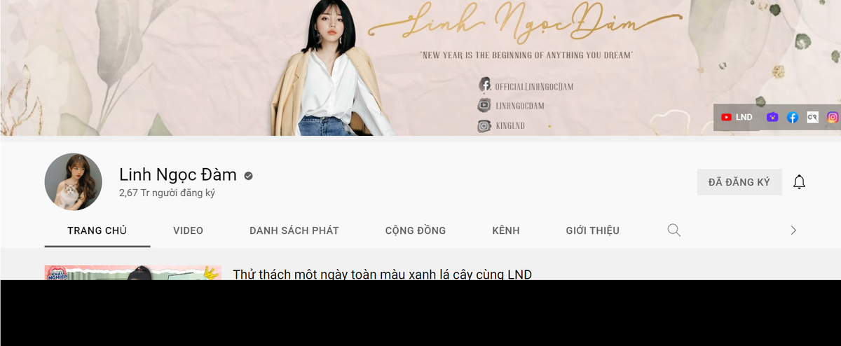 Hiện Linh Ngọc Đàm sở hữu kênh Youtube gần 3 triệu người đăng kí và fanpage hơn 5 triệu người theo dõi.