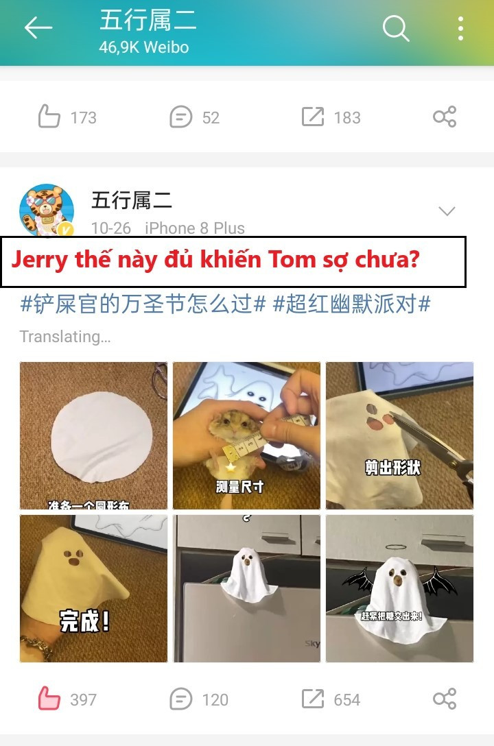 Một tài khoản tên Wuhangshuer trên Weibo đã đăng tải những bức ảnh cực kỳ đáng về quá trình nảy sinh ý tưởng hóa trang cho vật cưng. Cụ thể, cô gái dùng mảnh vải tròn màu trắng và biến tấu vài đường kéo cơ bản dựa trên số đo của chú hamster.