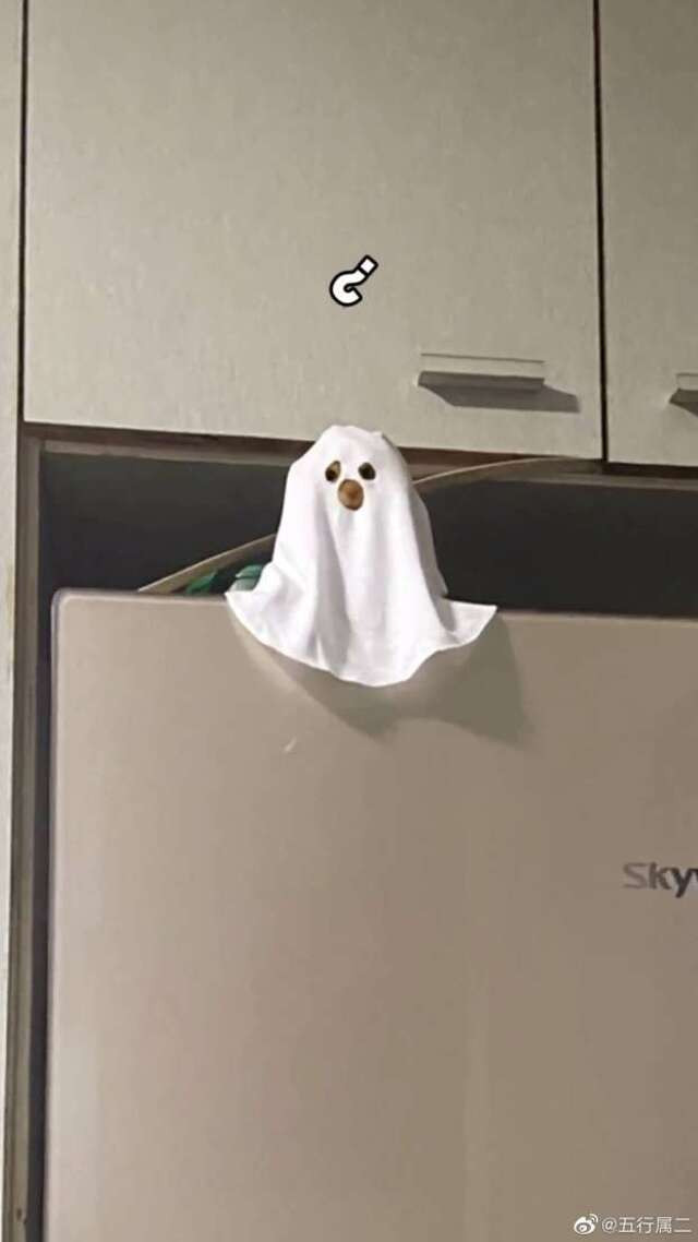 Tuy nhiên lúc ướm lên người “boss” lại có vẻ sai sai. Chẳng có một sự kỳ bí gì, chỉ thấy một “rổ” đáng yêu thôi. Nhìn mặt bé cưng có vẻ hoang mang tột độ.