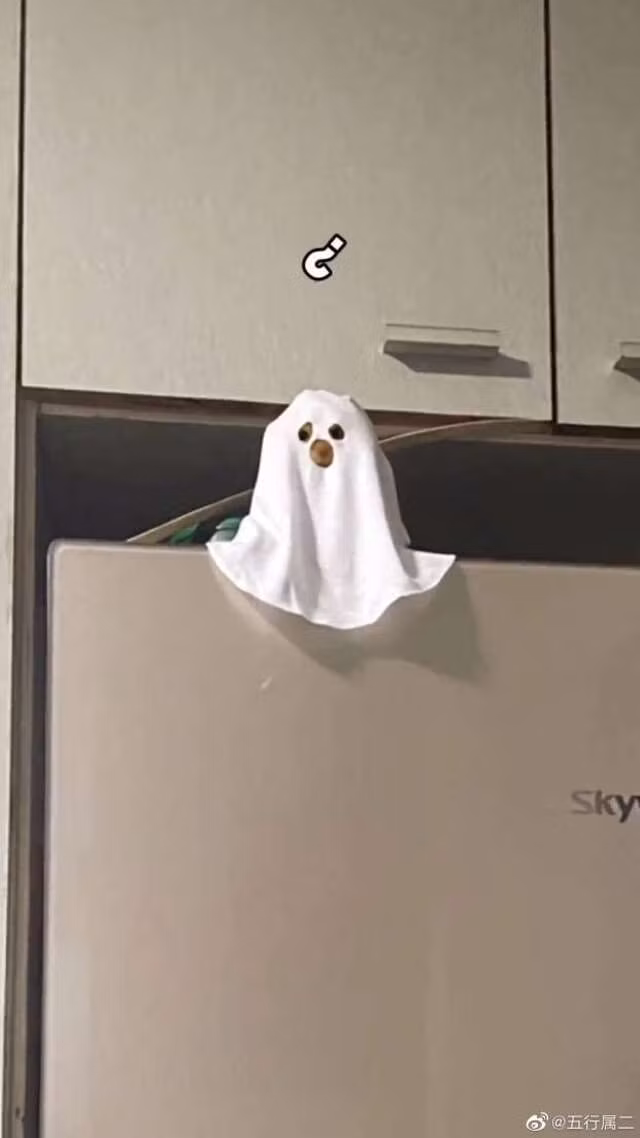 Tuy nhiên lúc ướm lên người “boss” lại có vẻ sai sai. Chẳng có một sự kỳ bí gì, chỉ thấy một “rổ” đáng yêu thôi. Nhìn mặt bé cưng có vẻ hoang mang tột độ.